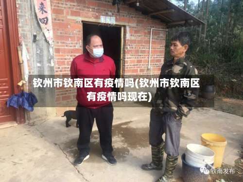钦州市钦南区有疫情吗(钦州市钦南区有疫情吗现在)-第3张图片