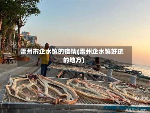 雷州市企水镇的疫情(雷州企水镇好玩的地方)-第3张图片