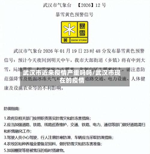武汉市近来疫情严重吗吗/武汉市现在的疫情-第3张图片