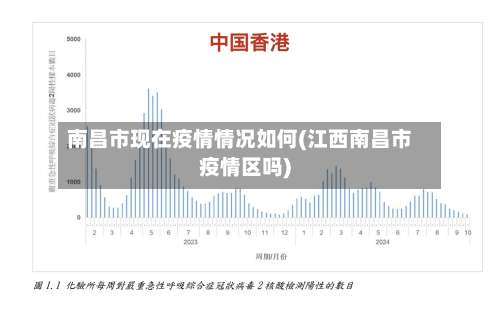 南昌市现在疫情情况如何(江西南昌市疫情区吗)