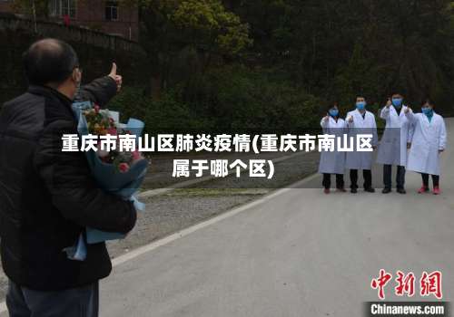 重庆市南山区肺炎疫情(重庆市南山区属于哪个区)-第2张图片