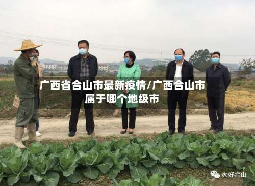 广西省合山市最新疫情/广西合山市属于哪个地级市