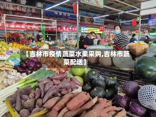 【吉林市疫情蔬菜水果采购,吉林市蔬菜配送】