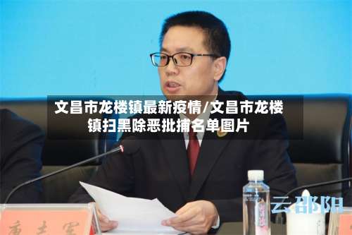 文昌市龙楼镇最新疫情/文昌市龙楼镇扫黑除恶批捕名单图片