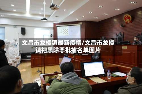 文昌市龙楼镇最新疫情/文昌市龙楼镇扫黑除恶批捕名单图片-第2张图片