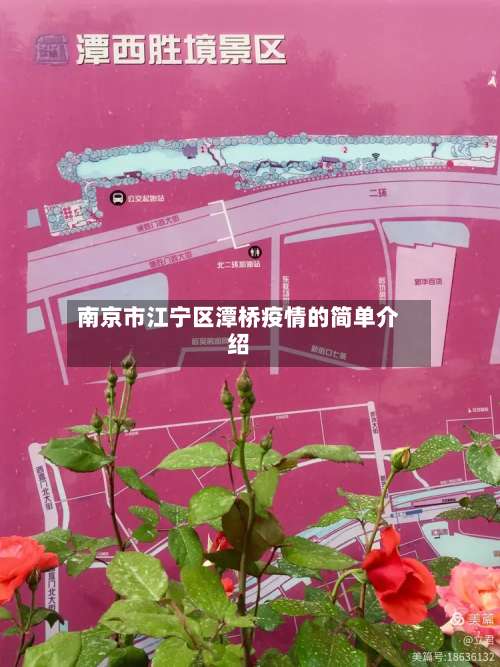 南京市江宁区潭桥疫情的简单介绍