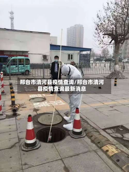 邢台市清河县疫情查询/邢台市清河县疫情查询最新消息