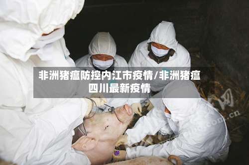 非洲猪瘟防控内江市疫情/非洲猪瘟四川最新疫情