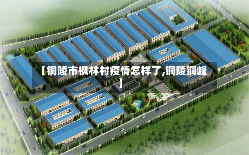 【铜陵市枫林村疫情怎样了,铜陵铜峰】-第2张图片