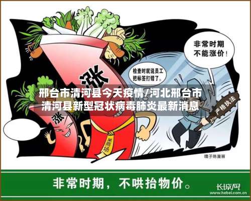 邢台市清河县今天疫情/河北邢台市清河县新型冠状病毒肺炎最新消息-第2张图片