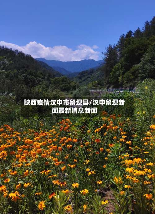 陕西疫情汉中市留坝县/汉中留坝新闻最新消息新闻