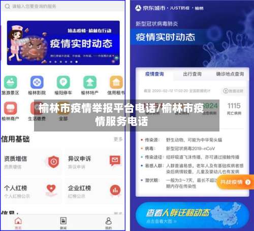 榆林市疫情举报平台电话/榆林市疫情服务电话