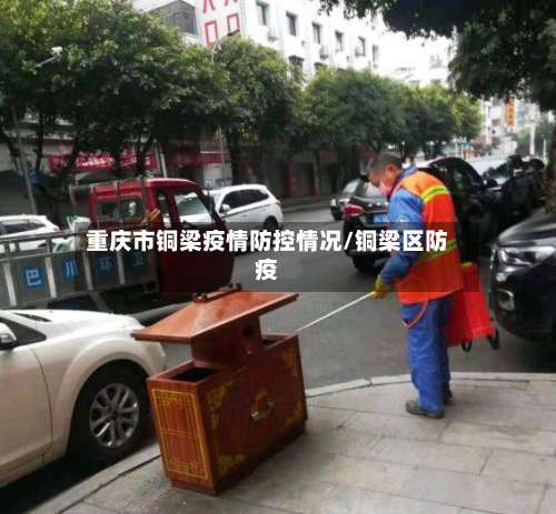 重庆市铜梁疫情防控情况/铜梁区防疫