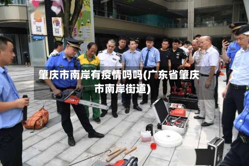 肇庆市南岸有疫情吗吗(广东省肇庆市南岸街道)