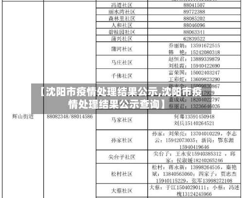 【沈阳市疫情处理结果公示,沈阳市疫情处理结果公示查询】