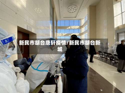 新民市胡台唐轩疫情/新民市胡台新城