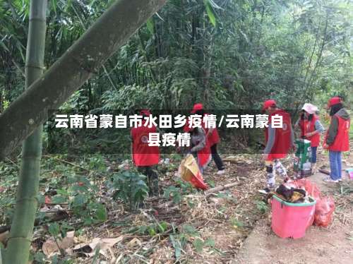 云南省蒙自市水田乡疫情/云南蒙自县疫情