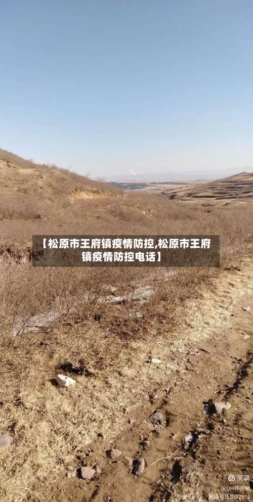 【松原市王府镇疫情防控,松原市王府镇疫情防控电话】
