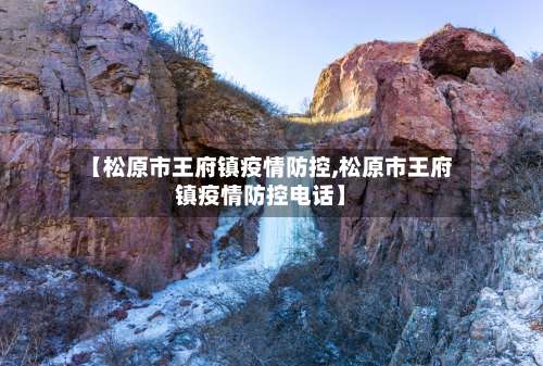 【松原市王府镇疫情防控,松原市王府镇疫情防控电话】-第2张图片