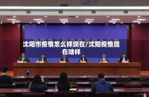 沈阳市疫情怎么样现在/沈阳疫情现在啥样