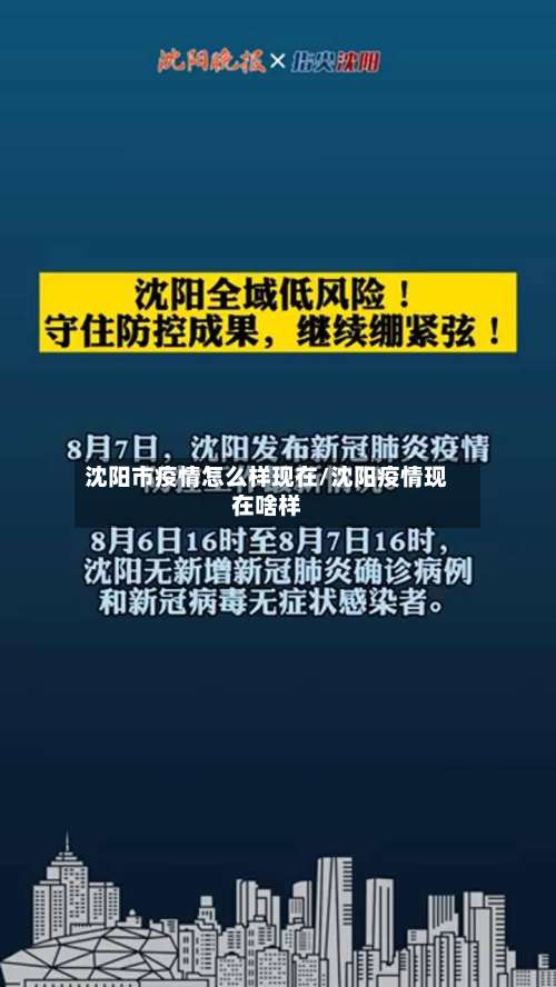 沈阳市疫情怎么样现在/沈阳疫情现在啥样-第3张图片