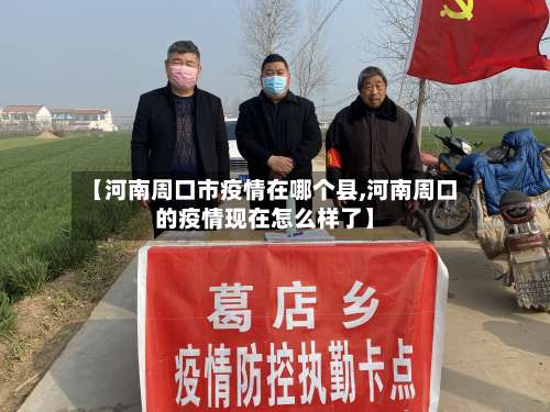 【河南周口市疫情在哪个县,河南周口的疫情现在怎么样了】-第3张图片