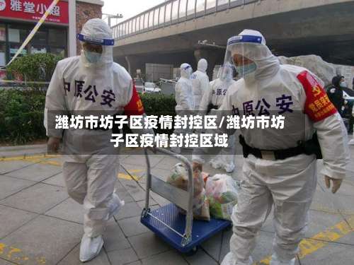 潍坊市坊子区疫情封控区/潍坊市坊子区疫情封控区域