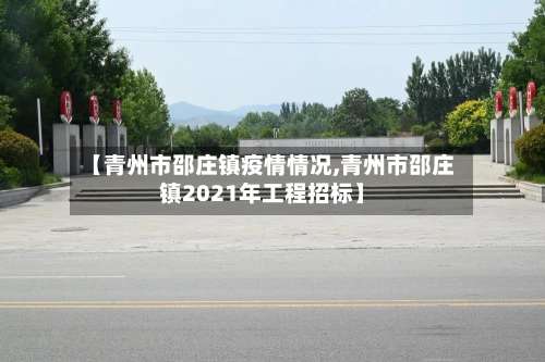 【青州市邵庄镇疫情情况,青州市邵庄镇2021年工程招标】