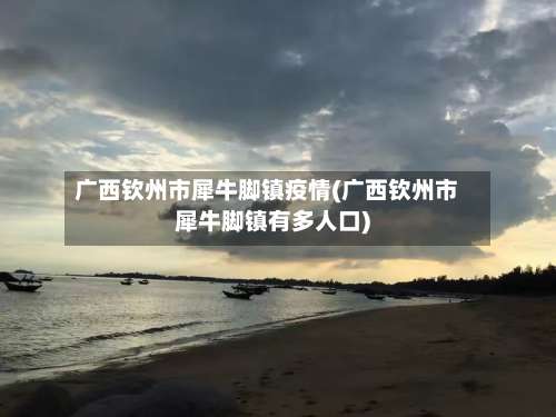 广西钦州市犀牛脚镇疫情(广西钦州市犀牛脚镇有多人口)