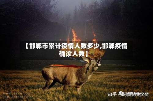 【邯郸市累计疫情人数多少,邯郸疫情确诊人数】-第2张图片