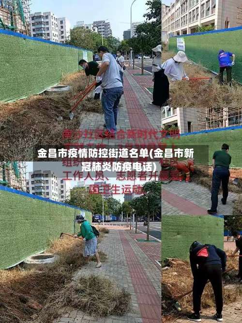 金昌市疫情防控街道名单(金昌市新冠肺炎防疫电话)-第2张图片