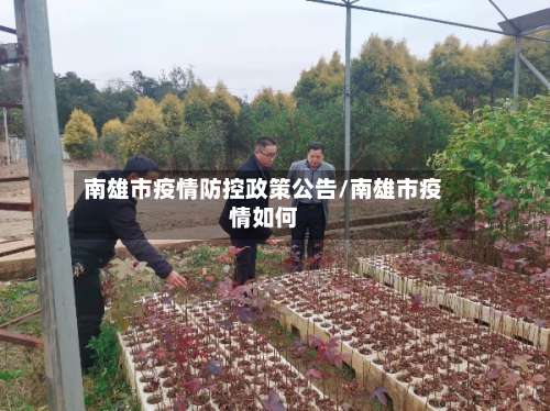 南雄市疫情防控政策公告/南雄市疫情如何