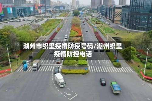 湖州市织里疫情防疫号码/湖州织里疫情防控电话