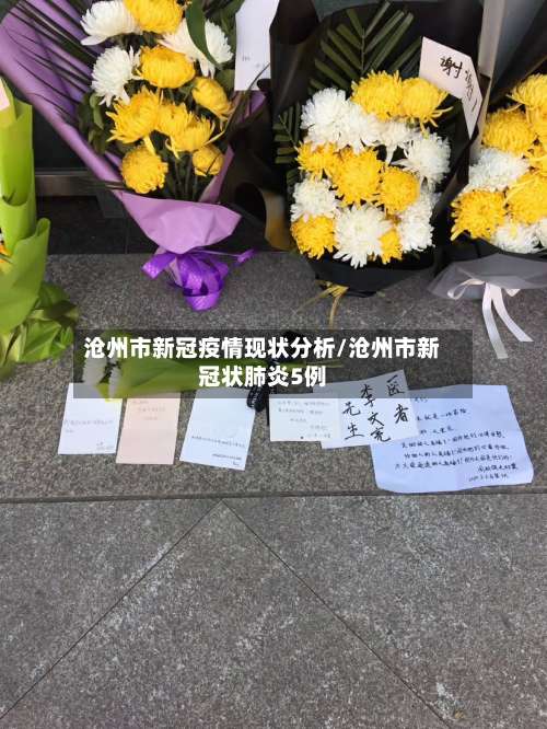 沧州市新冠疫情现状分析/沧州市新冠状肺炎5例