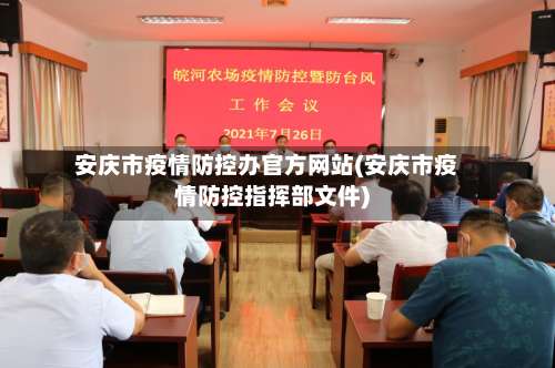 安庆市疫情防控办官方网站(安庆市疫情防控指挥部文件)-第3张图片