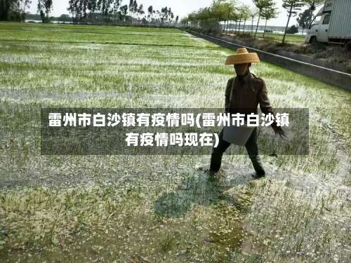 雷州市白沙镇有疫情吗(雷州市白沙镇有疫情吗现在)