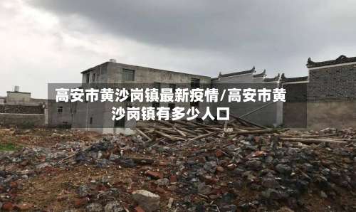 高安市黄沙岗镇最新疫情/高安市黄沙岗镇有多少人口
