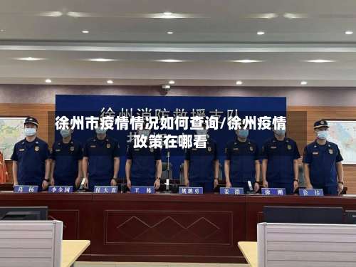 徐州市疫情情况如何查询/徐州疫情政策在哪看