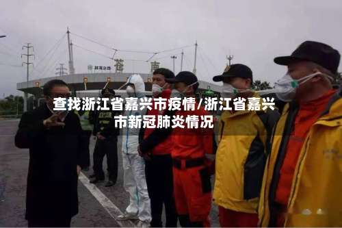 查找浙江省嘉兴市疫情/浙江省嘉兴市新冠肺炎情况