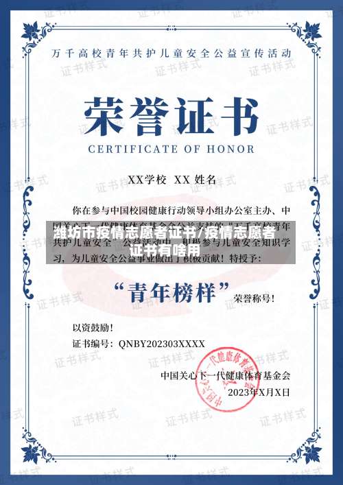 潍坊市疫情志愿者证书/疫情志愿者证书有啥用-第2张图片