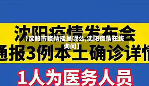【沈阳市疫情挂星呢么,沈阳疫情在线询问】-第3张图片