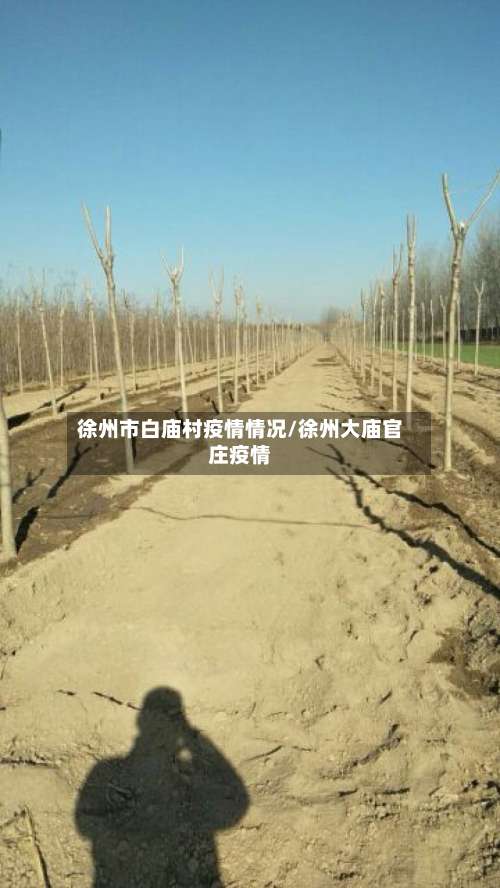 徐州市白庙村疫情情况/徐州大庙官庄疫情-第3张图片