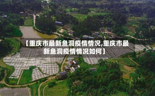 【重庆市最新鱼洞疫情情况,重庆市最新鱼洞疫情情况如何】