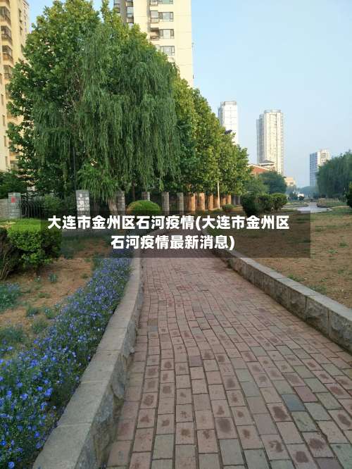 大连市金州区石河疫情(大连市金州区石河疫情最新消息)
