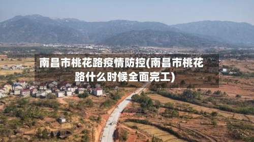 南昌市桃花路疫情防控(南昌市桃花路什么时候全面完工)