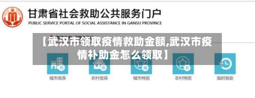 【武汉市领取疫情救助金额,武汉市疫情补助金怎么领取】-第2张图片