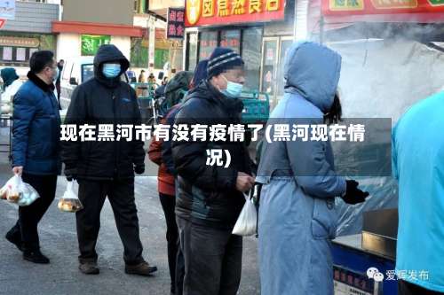 现在黑河市有没有疫情了(黑河现在情况)-第2张图片