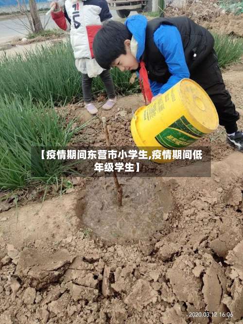 【疫情期间东营市小学生,疫情期间低年级学生】