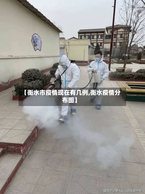 【衡水市疫情现在有几例,衡水疫情分布图】-第2张图片