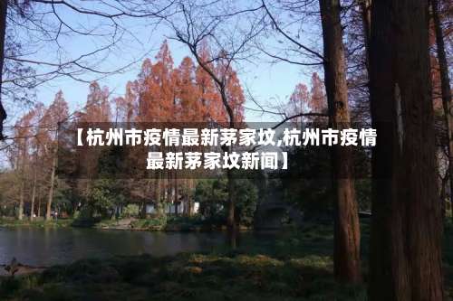 【杭州市疫情最新茅家坟,杭州市疫情最新茅家坟新闻】